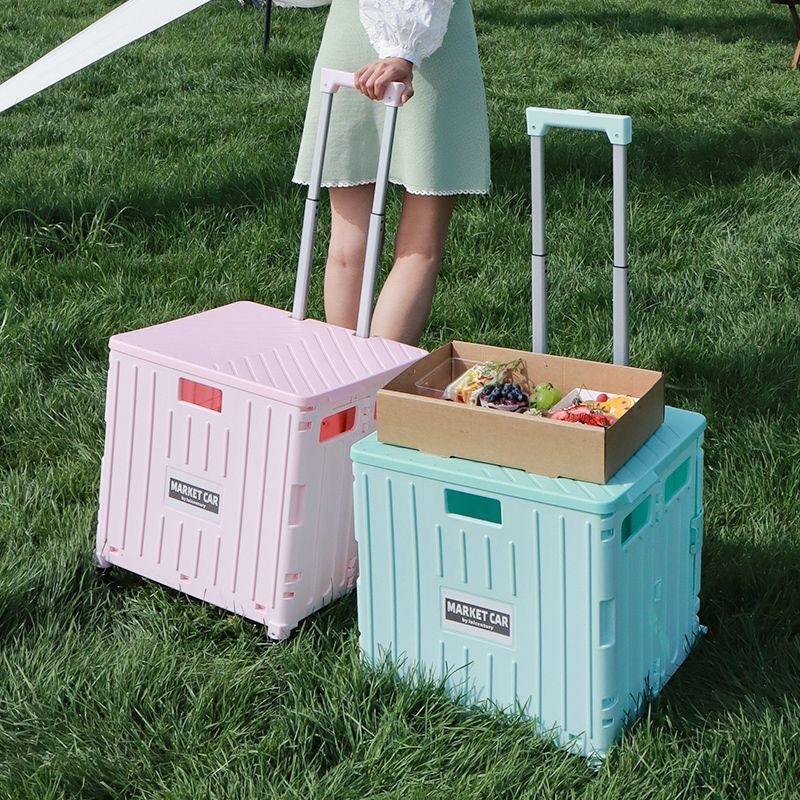 Portable Shopping Cart